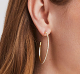 Windsor Hoop - Gold - Cubic Zirconia